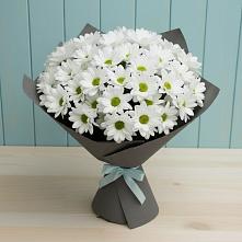 Букет цветов из:  Хризантемы #REPLACE_PRED# Смидовиче
