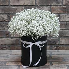 Цветочная композиция из Гипсофила в шляпной коробке в Смидовиче